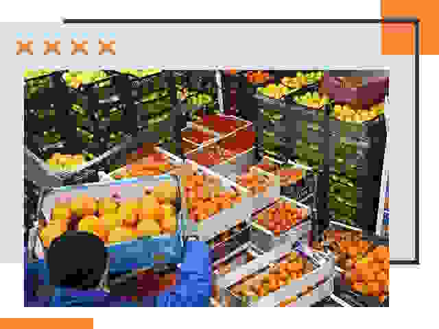 Перевозка скоропортящихся продуктов в Сорочинске
